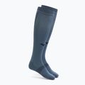 Calze Mizuno Compression Citadel
