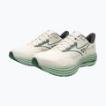 Scarpe da corsa da uomo Mizuno Wave Rider 29 bianco/verde bistrot/crema di me 9