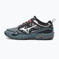Scarpe da uomo Mizuno Wave Daichi LS stormy weather/silver 8