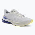 Scarpe da running uomo Mizuno Wave Skyrise 7 dawn blue/white/dazzling blue