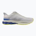 Scarpe da running uomo Mizuno Wave Skyrise 7 dawn blue/white/dazzling blue