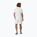 Maglietta da uomo Mizuno Stargazer Shadow Polo white 3