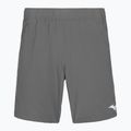 Pantaloncini da uomo Mizuno 8 In Flex Short quiet shade
