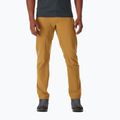 Pantaloni da trekking da uomo Rab Incline Light cumino