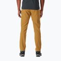 Pantaloni da trekking da uomo Rab Incline Light cumino 2