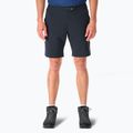 Pantaloncini da trekking da uomo Rab Momentum beluga