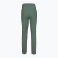 Pantaloni da trekking da donna Rab Harpur sage 2