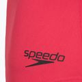 Costume da bagno intero donna Speedo Flex Band with Swim Bra raspbery fill/vermilion/punch 9