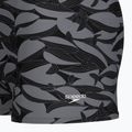 Boxer da bagno uomo Speedo Print Beachstar Square Leg Anthracite/Coin Grey 8