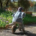 Bicicletta da fondo Qplay Trainer verde 6