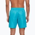 Pantaloncini da bagno Nike Swim Breaker 7" Volley da uomo, cactus polveroso 3