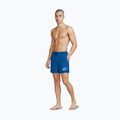 Shorts da bagno uomo Nike Logo Lap 5" Volley game royal 6