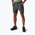Pantaloncini da trekking da uomo REGATTA Travel Light Packaway ash