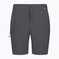 Pantaloncini da trekking da uomo REGATTA Travel Light Packaway ash 6