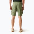 Pantaloncini da trekking REGATTA Ruwan fauna uomo 3