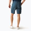 Pantaloncini da trekking REGATTA Ruwan midnight da uomo 3