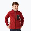 Felpa da bambino REGATTA Junior Frankie Full Zip rosso ocra