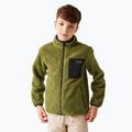 Felpa da bambino REGATTA Junior Frankie Full Zip verde nefrite