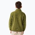 Felpa da bambino REGATTA Junior Frankie Full Zip verde nefrite 3