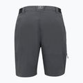 Pantaloncini da donna REGATTA Travel Light Packaway II seal grey 2