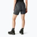 Pantaloncini da trekking da donna REGATTA Chaska III seal grey 3