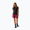 Pantaloncini da trekking da donna REGATTA Mountain II beaujolais 2