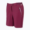 Pantaloncini da trekking da donna REGATTA Mountain II beaujolais 7