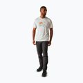 Camicia da trekking REGATTA Fingal IX iceberg marl da uomo 2