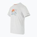 Camicia da trekking REGATTA Fingal IX iceberg marl da uomo 7