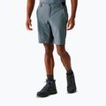 Pantaloncini da trekking da uomo REGATTA Eldes per il tempo burrascoso/ash