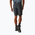 Pantaloncini da trekking da uomo REGATTA Eldes per il tempo burrascoso/ash 3