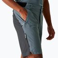 Pantaloncini da trekking da uomo REGATTA Eldes per il tempo burrascoso/ash 4
