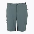 Pantaloncini da trekking da uomo REGATTA Eldes per il tempo burrascoso/ash 5