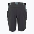 Pantaloncini da trekking da uomo REGATTA Eldes per il tempo burrascoso/ash 6