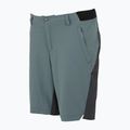 Pantaloncini da trekking da uomo REGATTA Eldes per il tempo burrascoso/ash 7