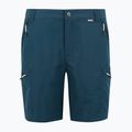 Pantaloncini da trekking da uomo REGATTA Leesville III moonlight denim 6