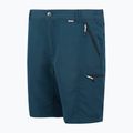 Pantaloncini da trekking da uomo REGATTA Leesville III moonlight denim 8