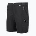 Pantaloncini da trekking REGATTA Leesville III ash da uomo 7