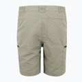 Pantaloncini da trekking da uomo REGATTA Leesville III sabbia dorata 6
