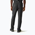 Pantaloni da trekking da uomo REGATTA Highton II ash 3
