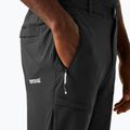 Pantaloni da trekking da uomo REGATTA Highton II ash 4