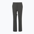 Pantaloni da trekking da uomo REGATTA Highton II ash 5