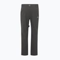Pantaloni da trekking da uomo REGATTA Highton II ash 6