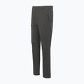 Pantaloni da trekking da uomo REGATTA Highton II ash 7