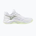 Scarpe da pallavolo donna Mizuno Wave Momentum Pro white/aqua gray/ambrosia