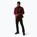 Pile uomo REGATTA Frankie Full Zip dark maroon 2