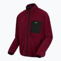 Pile uomo REGATTA Frankie Full Zip dark maroon 8