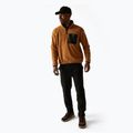 Pile da uomo REGATTA Frankie Half Zip brown 2