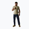 T-shirt uomo REGATTA ClineIX golden sand 2