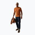 T-shirt uomo REGATTA ClineIX glazed ginger 2